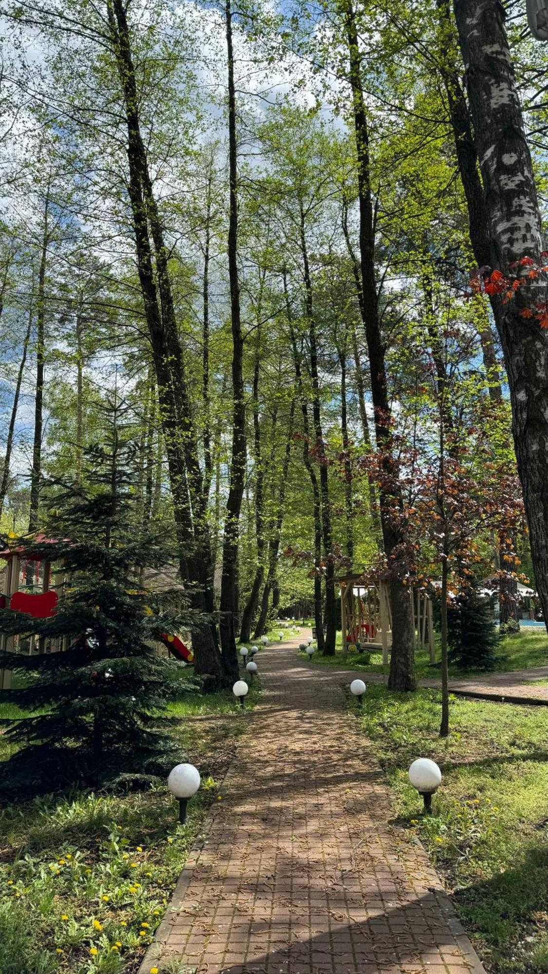 Tysha Forest Club Romankiv Eksteriør billede